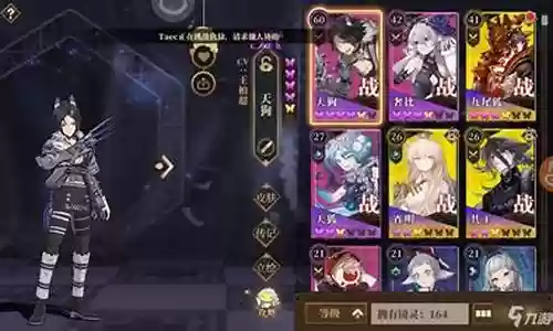 花姐阵容搭配