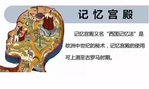 记忆宫殿最强阵容搭配