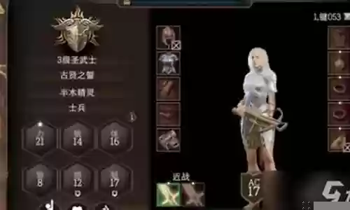 圣武士搭配什么阵容