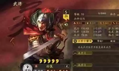 孙策武将阵容怎么搭配