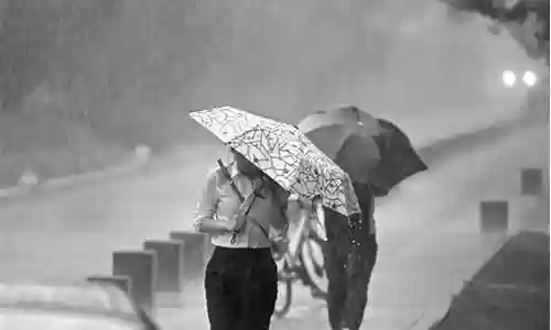 风急阵雨阵容搭配
