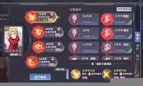虎猫防御阵容搭配攻略