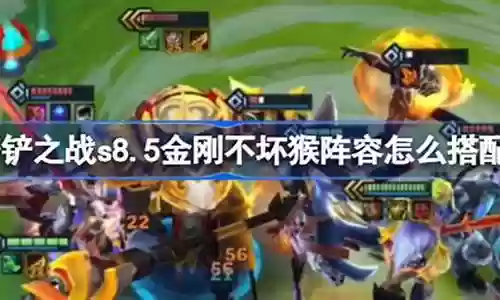 时间猴阵容搭配