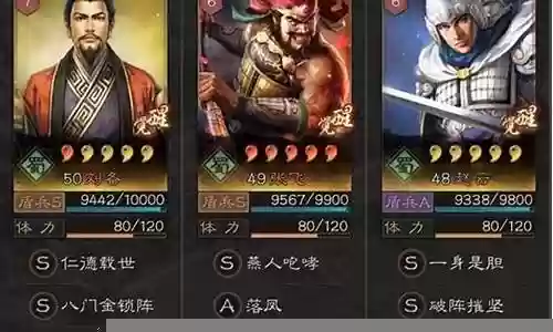 赵云杂牌阵容怎么搭配
