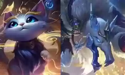猫猫的搭配什么阵容