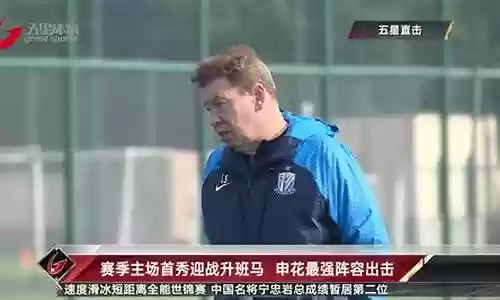 申花最强阵容搭配
