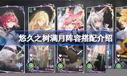 天道搭配满月阵容攻略