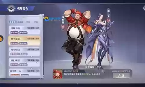 悬赏阵容搭配新手