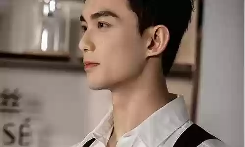 吴磊最新阵容搭配