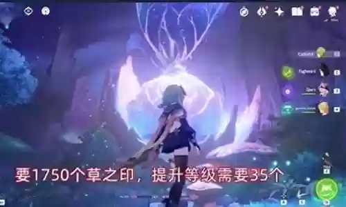 须弥探索推荐阵容搭配