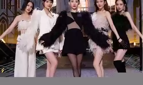 浪姐2最全阵容搭配