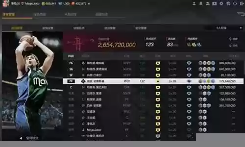 诺维斯基阵容搭配最新