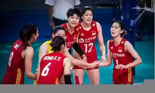 总决赛韩国女排阵容