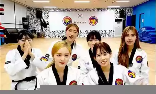 韩国虎队最新阵容