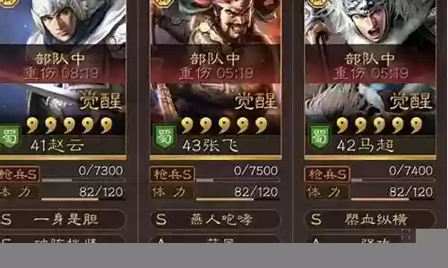 赵云张姬刘备阵容搭配率土之滨