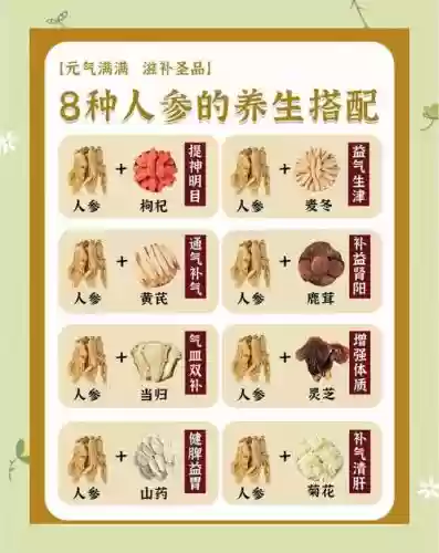 人参阵容插图
