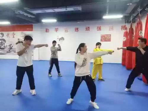 武堂阵容