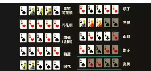 德州搭配阵容插图