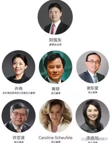 京东阵容成员