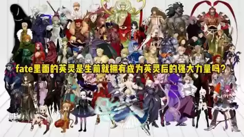 fatego阵容大公