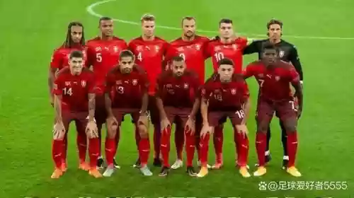 瑞士2018阵容