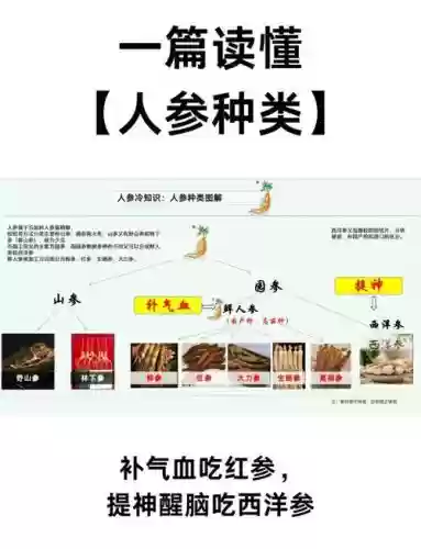 人参阵容