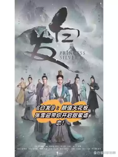 白发宣传阵容插图