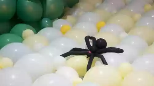 蚊子气球阵容