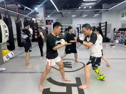 实战训练阵容插图
