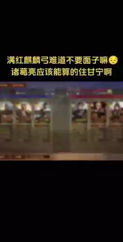 白马弓阵容