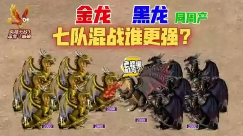 七金龙阵容