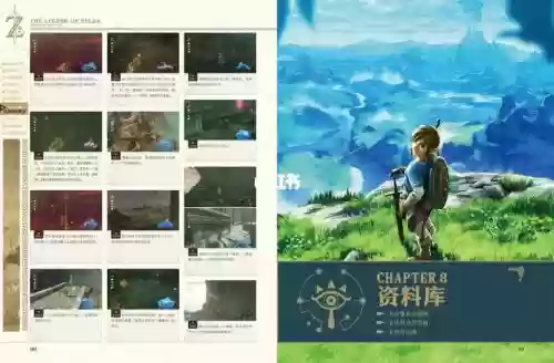 塞尔达传说中文版新手攻略