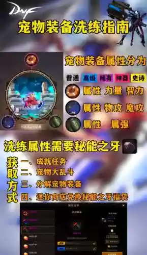 dnf2019五一宠物装备选哪个插图1