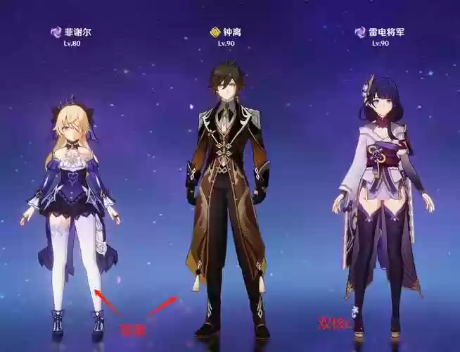 提纳阵容