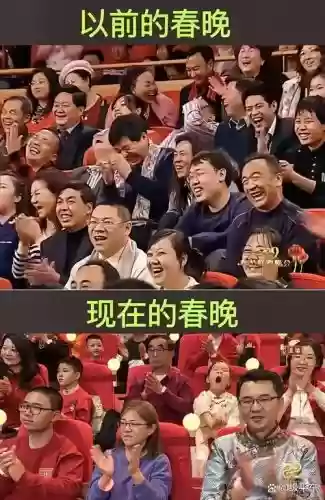 春晚观众阵容插图