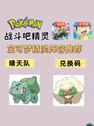 pokemon刷钱阵容
