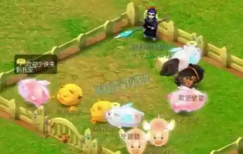 梦幻西游限量猪祥瑞插图