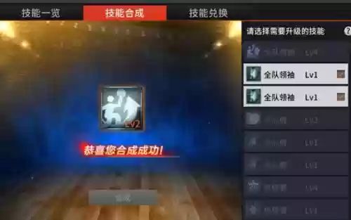 2k合技能