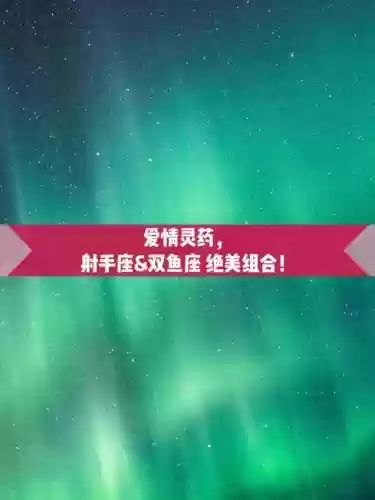 双鱼射手阵容