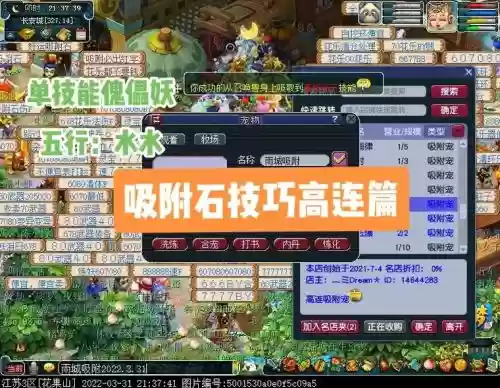 梦幻西游吸附石技巧五行插图