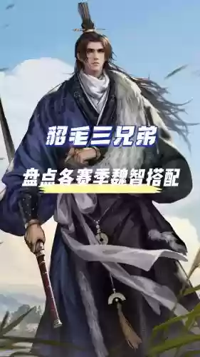 率土之滨魏国阵容搭配插图