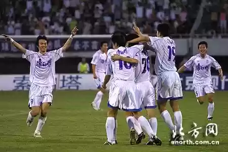 2005泰达阵容插图