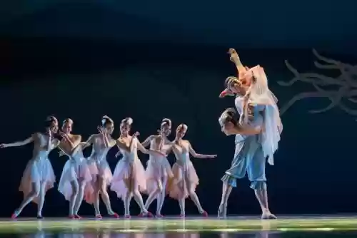 舞蹈朱鹮阵容插图