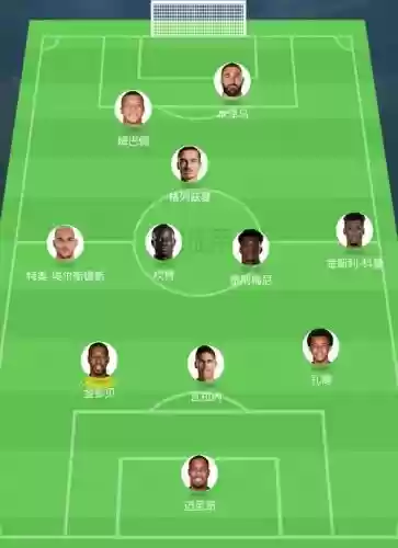 法国现役阵容