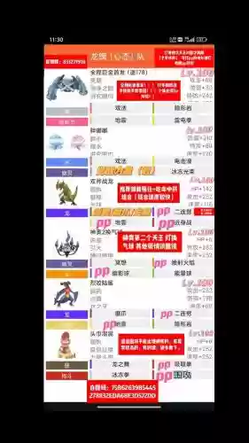 pokmmo双打阵容插图