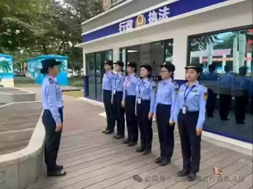执法小姐阵容插图