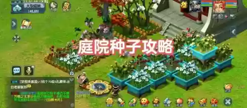 梦幻西游手游盆景怎么浇水