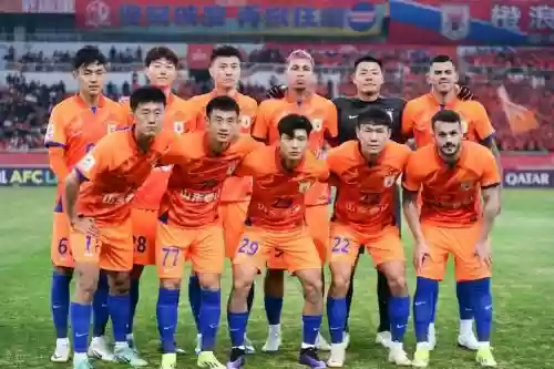 2001鲁能阵容
