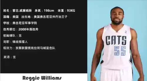 13山猫阵容插图