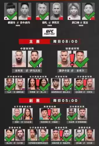 235ufc阵容